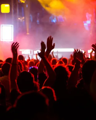 Pink Droyd - A Tribute to Pink Floyd