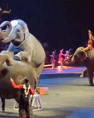 Mizpah Shrine Circus