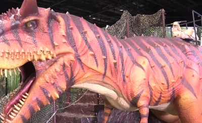 Jurassic Quest