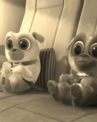 Puppy Pals Van Wert