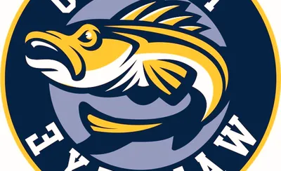 Toledo Walleye
