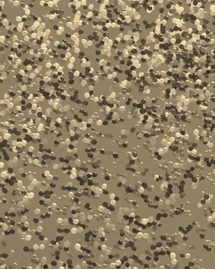 Wild Kratts - Live theatre performance