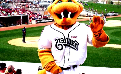 Wisconsin Timber Rattlers