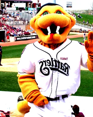 Wisconsin Timber Rattlers