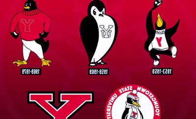 Youngstown State Penguins