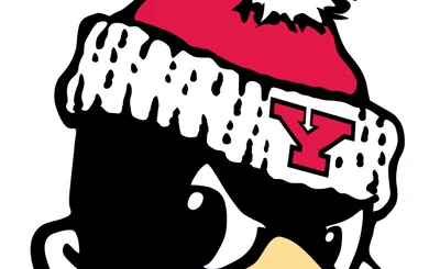 Youngstown State Penguins