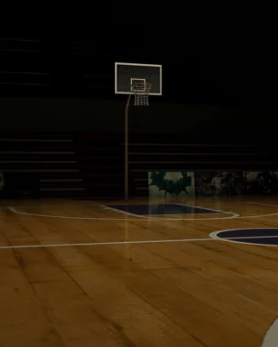 NCAA Division III Basketball Tournament: Quarterfinals - Session 1