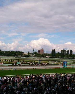 NCAA Division III Basketball Tournament - 3 Day Pass